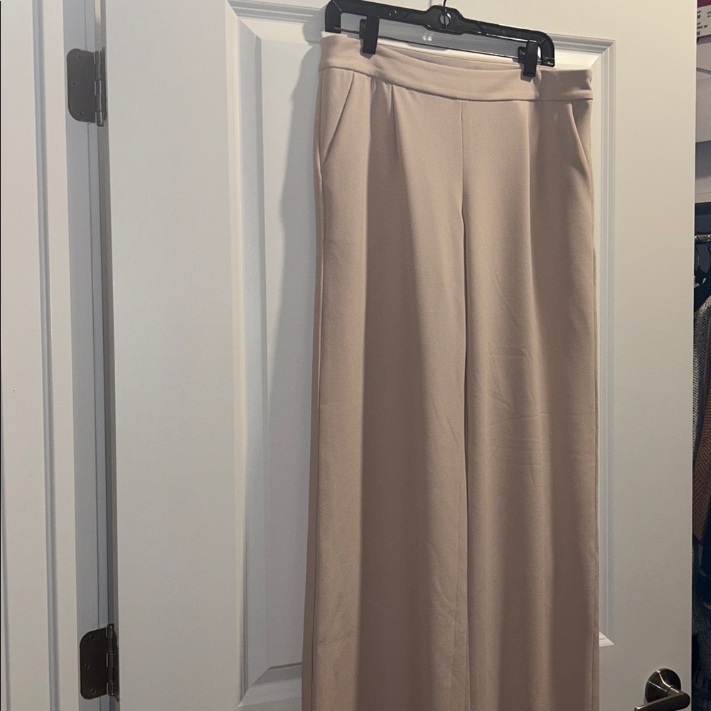 Express dress pants